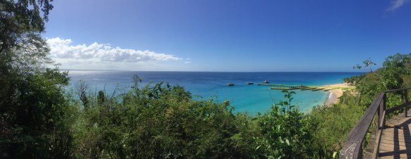 IMG_4105